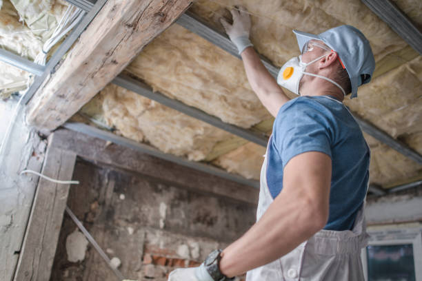 Best Commercial Insulation in Ashland, AL