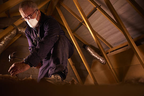 Best Insulation Installation Services in Ashland, AL